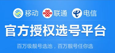 中國鐵通服務熱線與網絡技術服務指南
